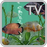 Oscar Fish Aquarium TV Live | Indus Appstore | App Icon