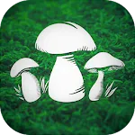 Real Mushroom Hunting Simulato | Indus Appstore | App Icon