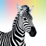 Investec Youth | Indus Appstore | App Icon