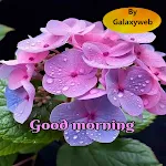 Good Morning Image Wishes 2024 | Indus Appstore | App Icon