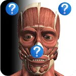 Anatomy Quiz | Indus Appstore | App Icon