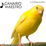 Canto de Canarios | Indus Appstore | App Icon