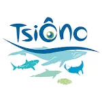 TsiÔno | Indus Appstore | App Icon