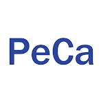 PecaPlay | Indus Appstore | App Icon