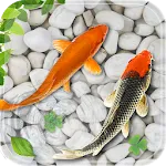 Fish Live Wallpaper Aquarium | Indus Appstore | App Icon