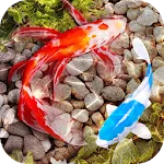 3D Fish Tank Live Wallpaper | Indus Appstore | App Icon