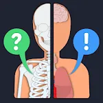 Anato Trivia -  Quiz Anatomy | Indus Appstore | App Icon