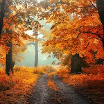 Autumn Wallpaper | Indus Appstore | App Icon