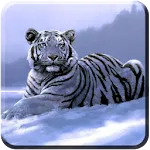 Tiger Wallpapers HD | Indus Appstore | App Icon