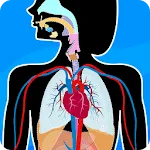 Human Anatomy - Body parts | Indus Appstore | App Icon