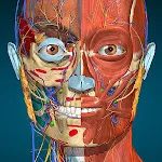 Anatomy Learning - 3D Anatomy | Indus Appstore | App Icon