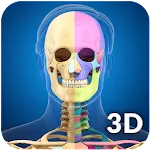 Skeleton Anatomy Pro. | Indus Appstore | App Icon