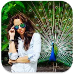 Peacock Photo Frames | Indus Appstore | App Icon