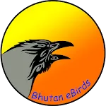 Bhutan eBirds | Indus Appstore | App Icon