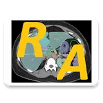 Radiology CT Anatomyapp icon