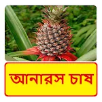 আনারস চাষের সঠিক পদ্ধতি | Indus Appstore | App Icon