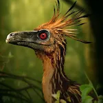 Troodon Simulator | Indus Appstore | App Icon