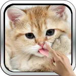 Magic Touch: Fluffy Cat Live W | Indus Appstore | App Icon