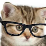 Crazy Hipster Cat | Indus Appstore | App Icon