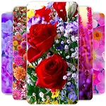 Flowers Wallpaper | Indus Appstore | App Icon