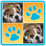 Dogs Memory Match Pairs Game | Indus Appstore | App Icon