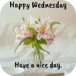 happy wednesday images | Indus Appstore | App Icon