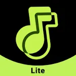 Weezer-Lite, MP3 Music player | Indus Appstore | App Icon