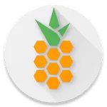 Pinapple | Indus Appstore | App Icon