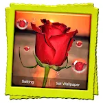 3D Rose Live Wallpaper | Indus Appstore | App Icon