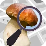 Mushroom Identify - Automatic  | Indus Appstore | App Icon