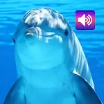 Dolphin: Sounds & Ringtones | Indus Appstore | App Icon