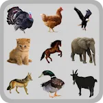 Animal Sounds | Indus Appstore | App Icon