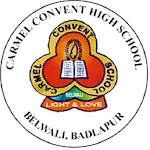 Carmel Convent Primary School  | Indus Appstore | App Icon