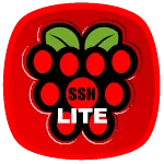 Raspberry SSH & WOL Buttons | Indus Appstore | App Icon