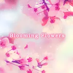 Blooming Flowers Theme | Indus Appstore | App Icon