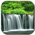 Waterfall Video Live Wallpaper | Indus Appstore | App Icon