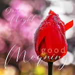 Good Morning | Indus Appstore | App Icon