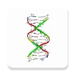 DNA and RNA Codon Converter | Indus Appstore | App Icon