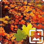 Autumn Wallpapers Hd | Indus Appstore | App Icon