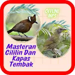 Masteran Cililin Kapas Tembak | Indus Appstore | App Icon