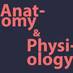 Anatomy and Physiology | Indus Appstore | App Icon