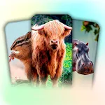 Flashcards for kids: Animals | Indus Appstore | App Icon