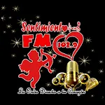 FM Sentimiento 102.9 | Indus Appstore | App Icon