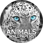 Wallpapers 4K with animals | Indus Appstore | App Icon