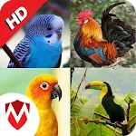 100 Bird sounds | Indus Appstore | App Icon