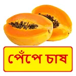 পেঁপে চাষ ~ Papaya Cultivation | Indus Appstore | App Icon