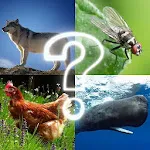 ZOO sounds quiz | Indus Appstore | App Icon