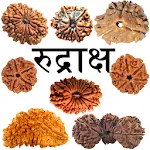 Rudraksha Information | Indus Appstore | App Icon