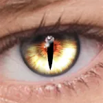 FoxEyes - Change Eye Color | Indus Appstore | App Icon