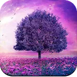 Beautiful Wallpapers 4K | Indus Appstore | App Icon